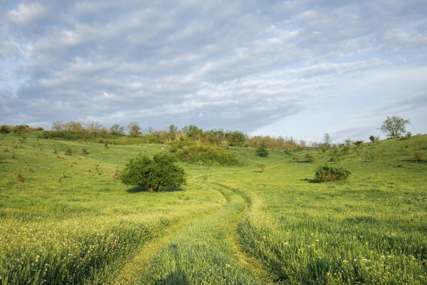 Découvrez les Festivals Incontournables dans les Paradis Exotiques